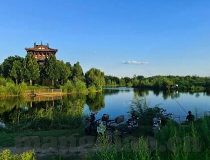 成人免费观看视频香蕉-成人内容与网络伦理，理性探讨成人免费视频的界限与影响
