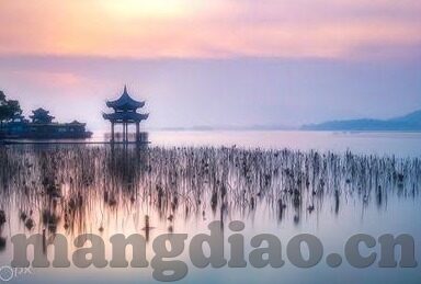 大象传媒两个人看视频-探索大象传媒，两人世界中的视频之旅