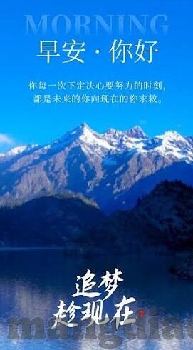 大象映画传媒-大象映画传媒，创意与艺术的完美融合