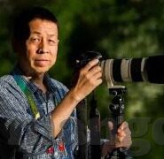 麻豆黄色视频软件-网络世界中的警醒，关于麻豆黄色视频软件的理性思考