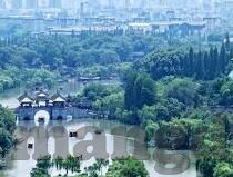 糖心app兑换码2022-糖心app兑换码2022，探索数字时代的惊喜与优选会员特权