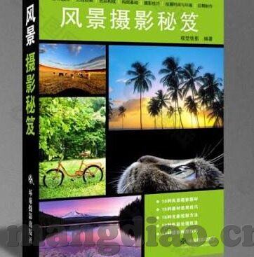 糖心官网入口txvlog-探索糖心官网的多元魅力与内容丰富性