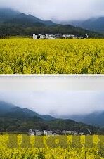糖心vlog系列-糖心Vlog系列，记录生活美学，探索心灵之旅
