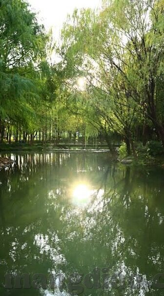 天美传媒视频麻豆-解锁数字时代的娱乐新窗口，天美传媒视频与麻豆的创意跨界之旅