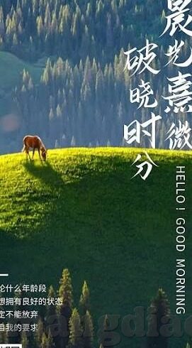 羞羞答答糖心vlog-糖心之旅，羞涩与探险的完美邂逅